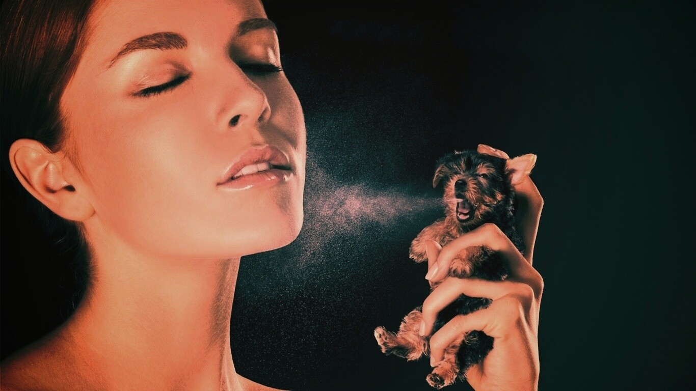 Соблюдайте гигиену обои