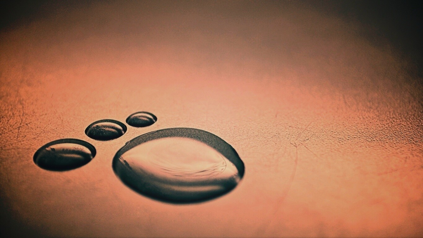 Капли воды обои