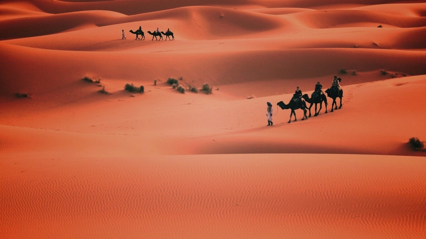 Караваны пустыни обои