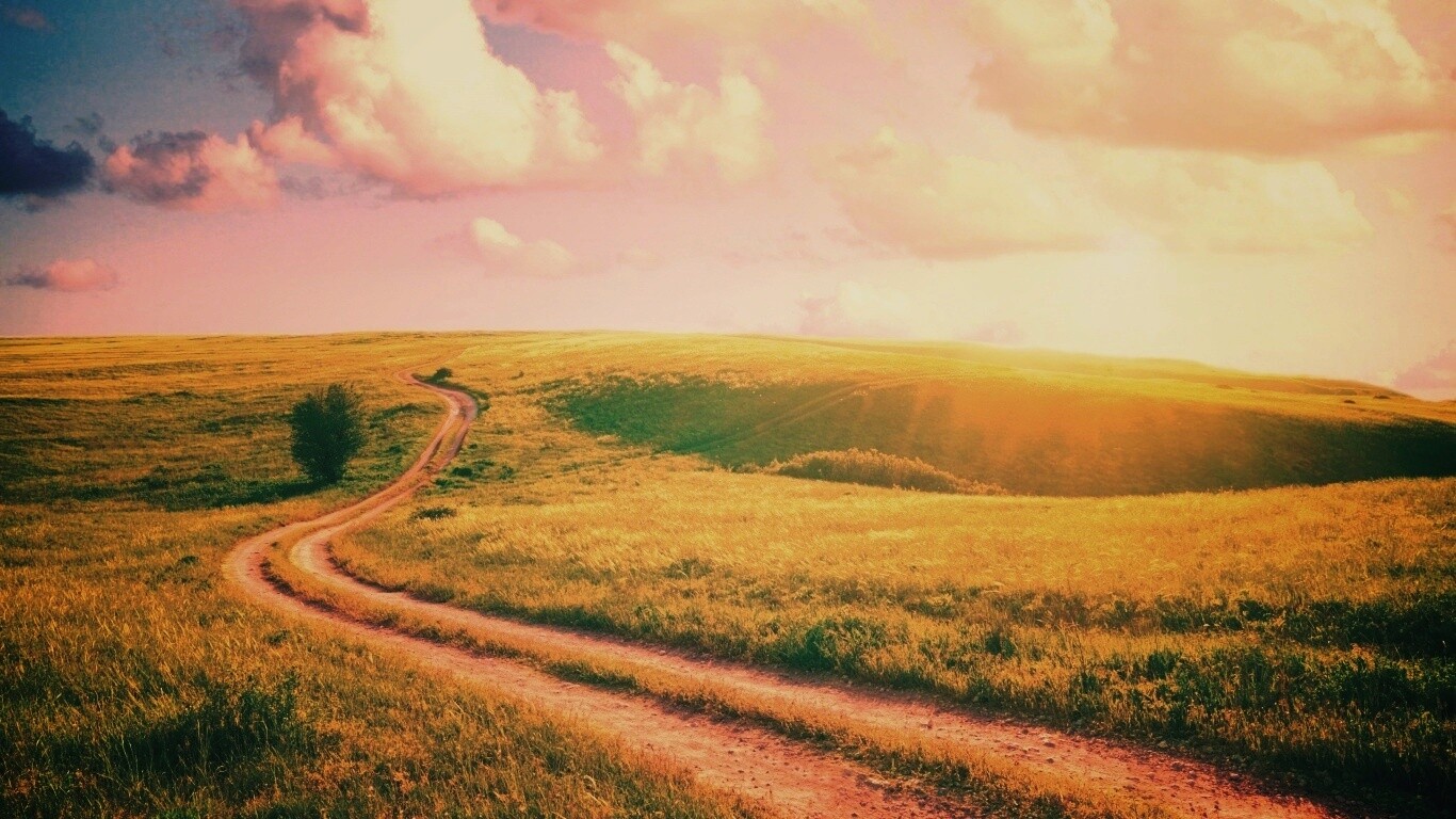 Дорога через луг обои