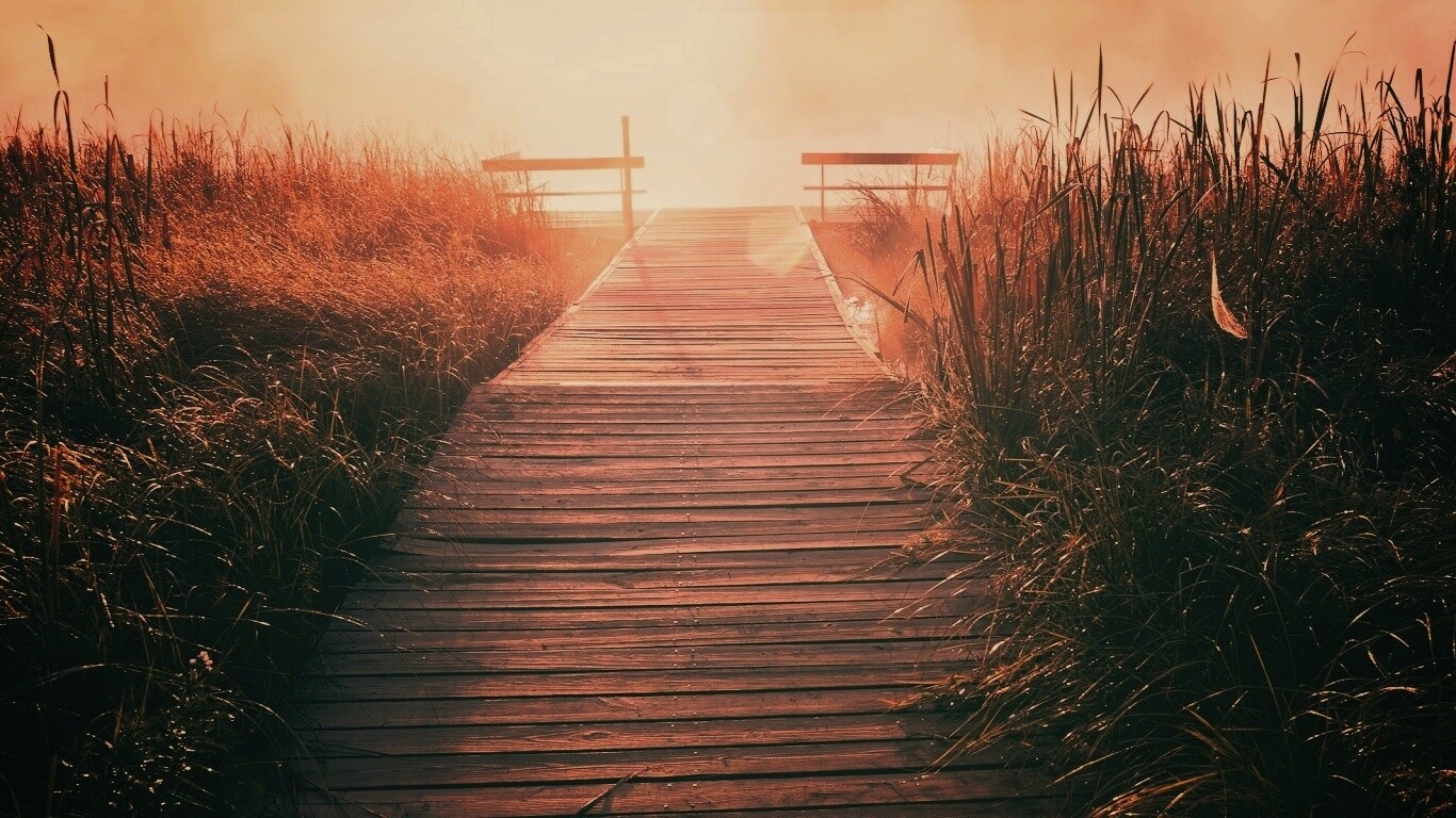 Выход к реке обои