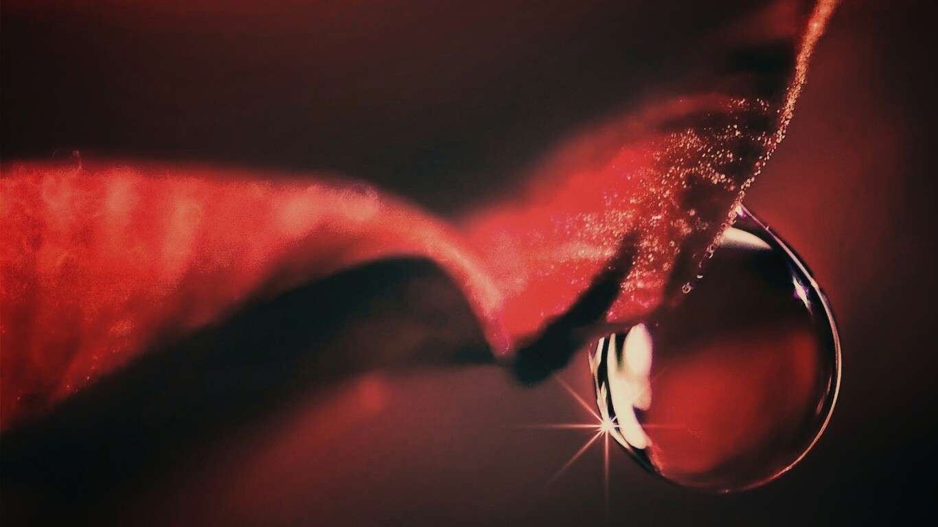 Макро капля на лепестке обои