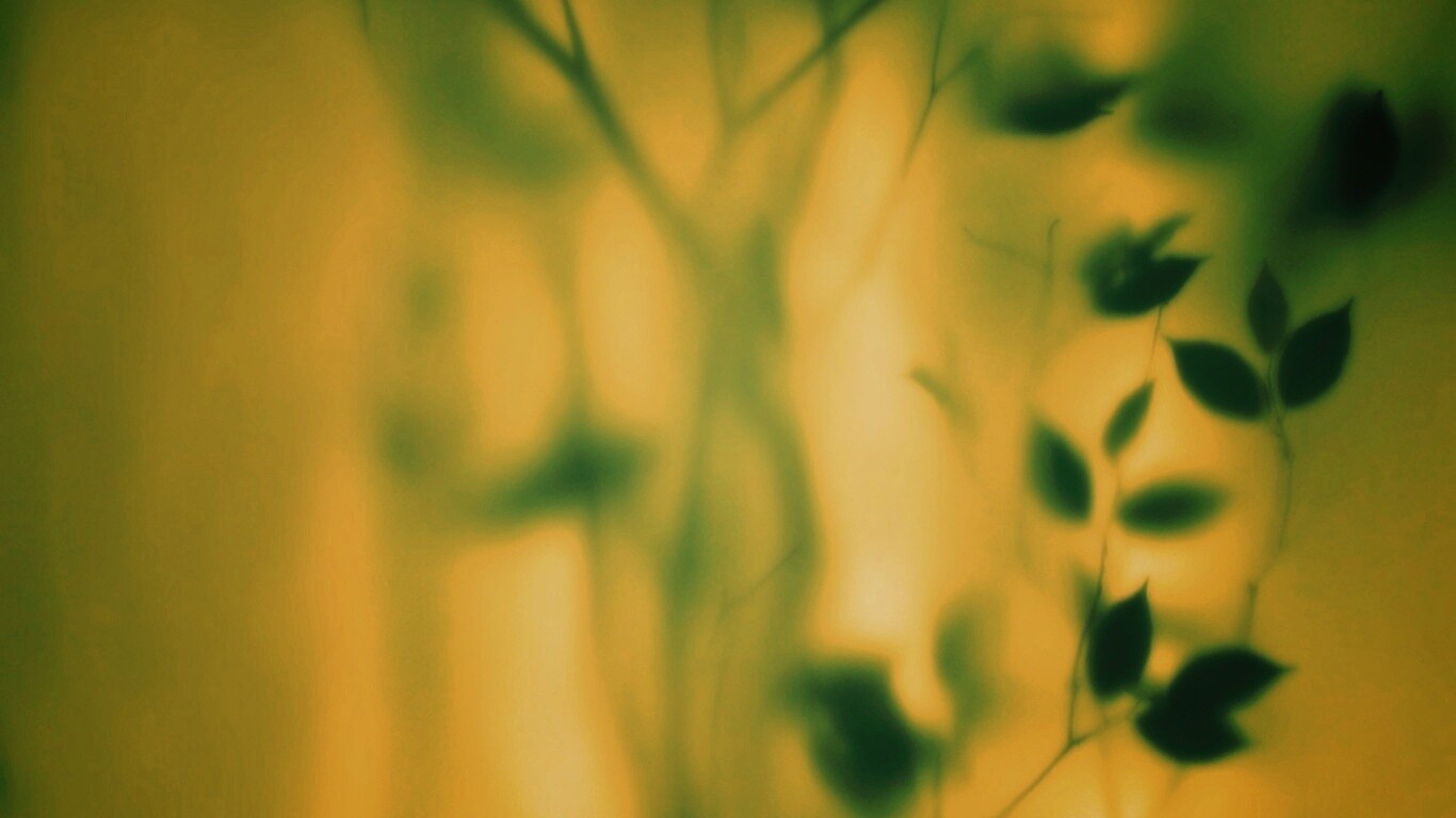 Зелень за стеклом обои