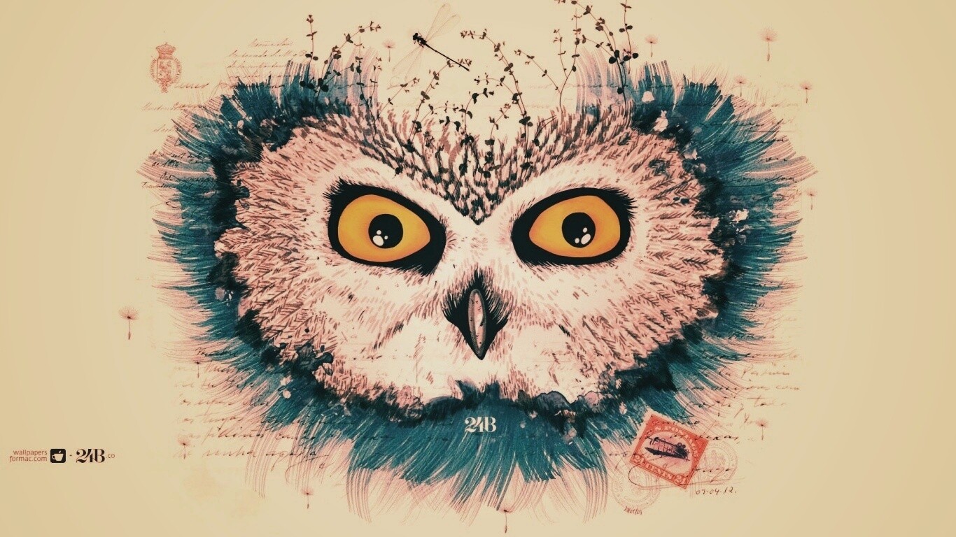 Обои сова для mac book обои