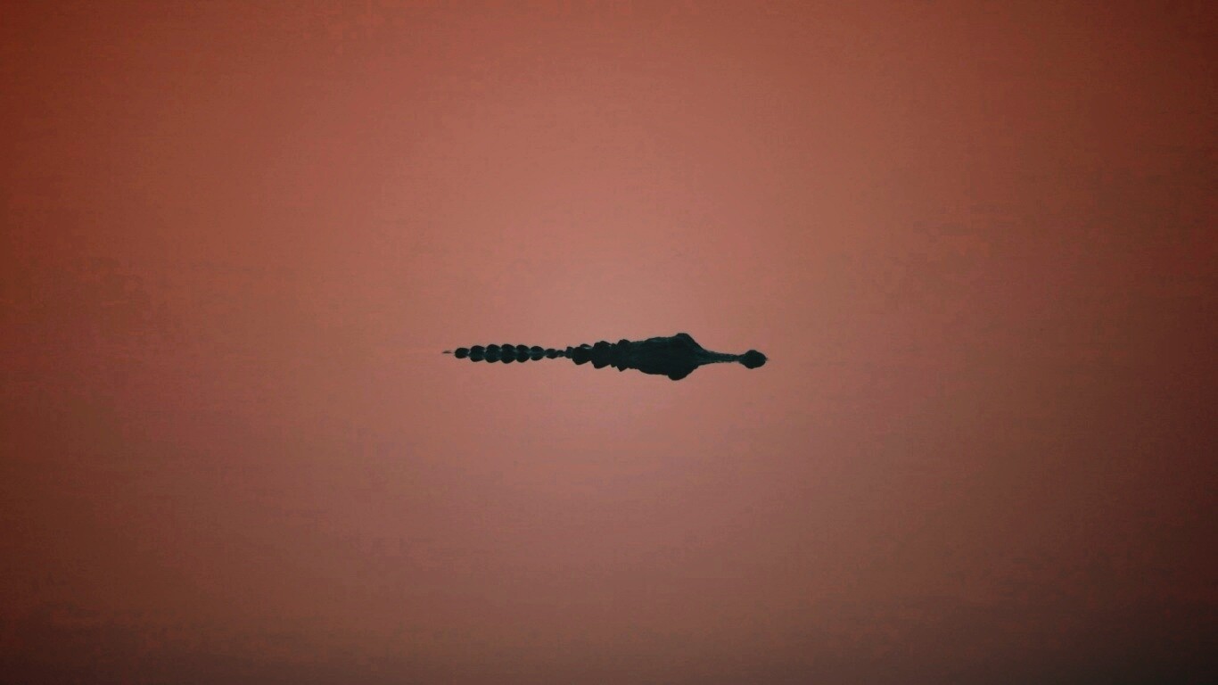 Алигатор обои