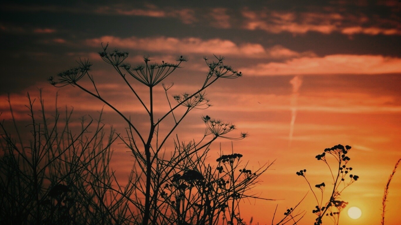 Степной закат обои