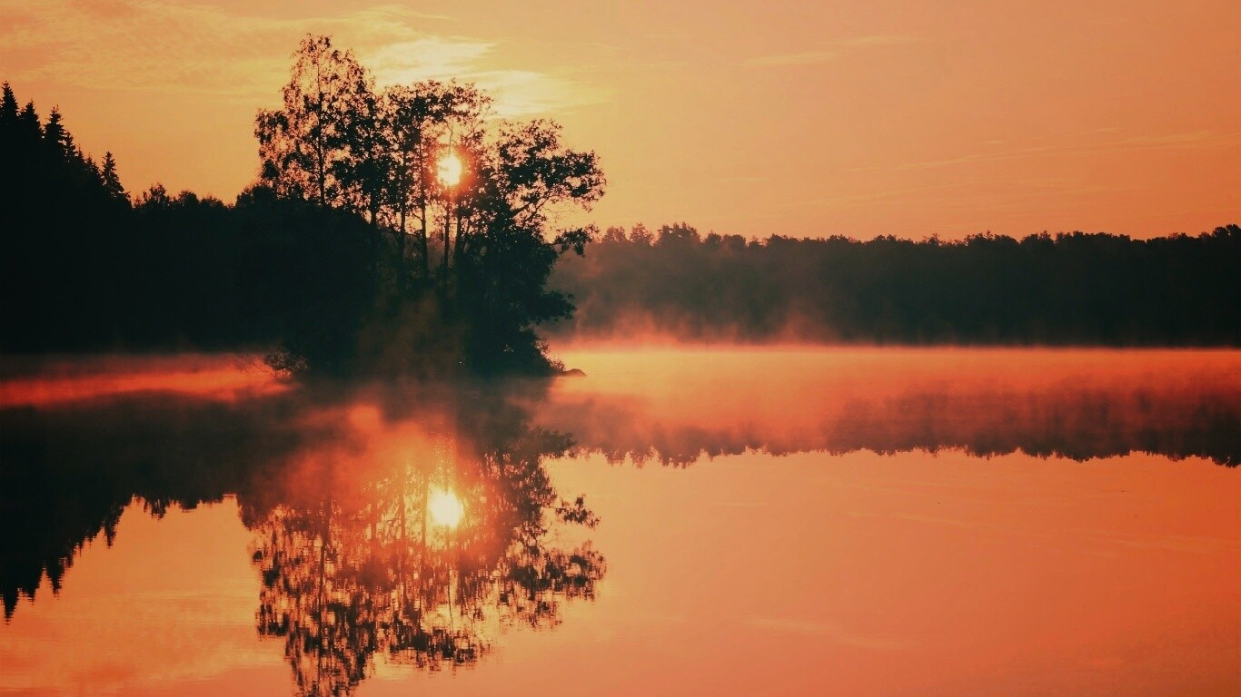 Туманное утро обои