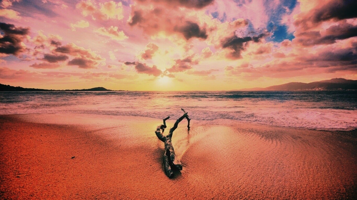 Коряга на пляже обои