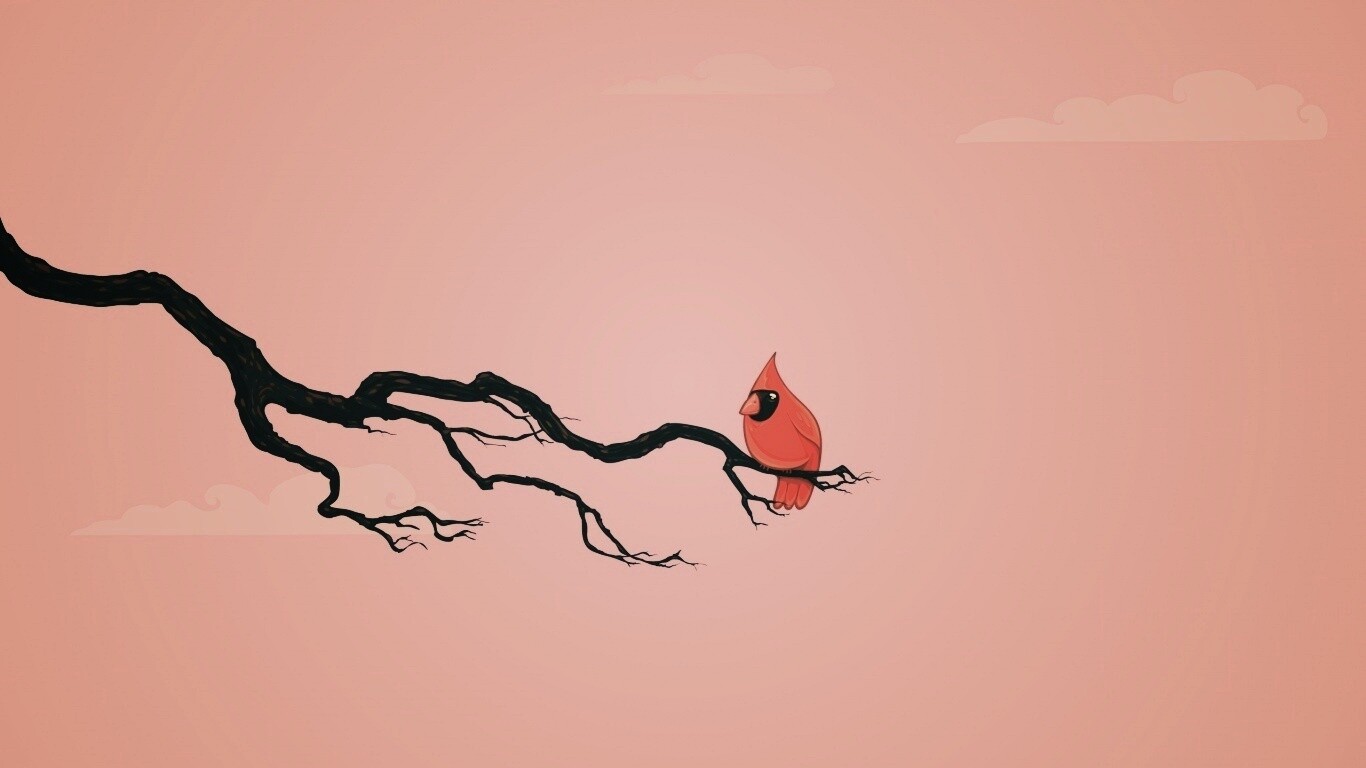 Красная птица на ветке обои