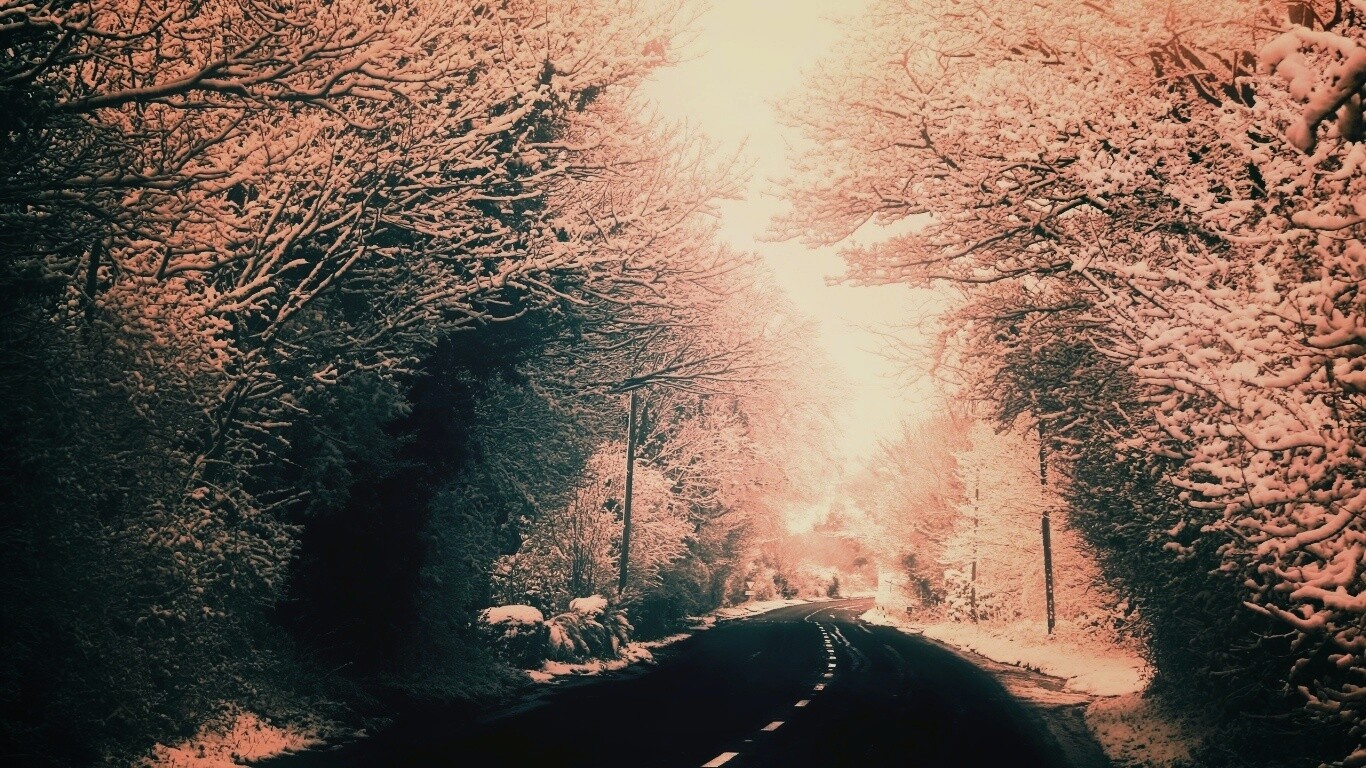 Дорога через зимний лес обои