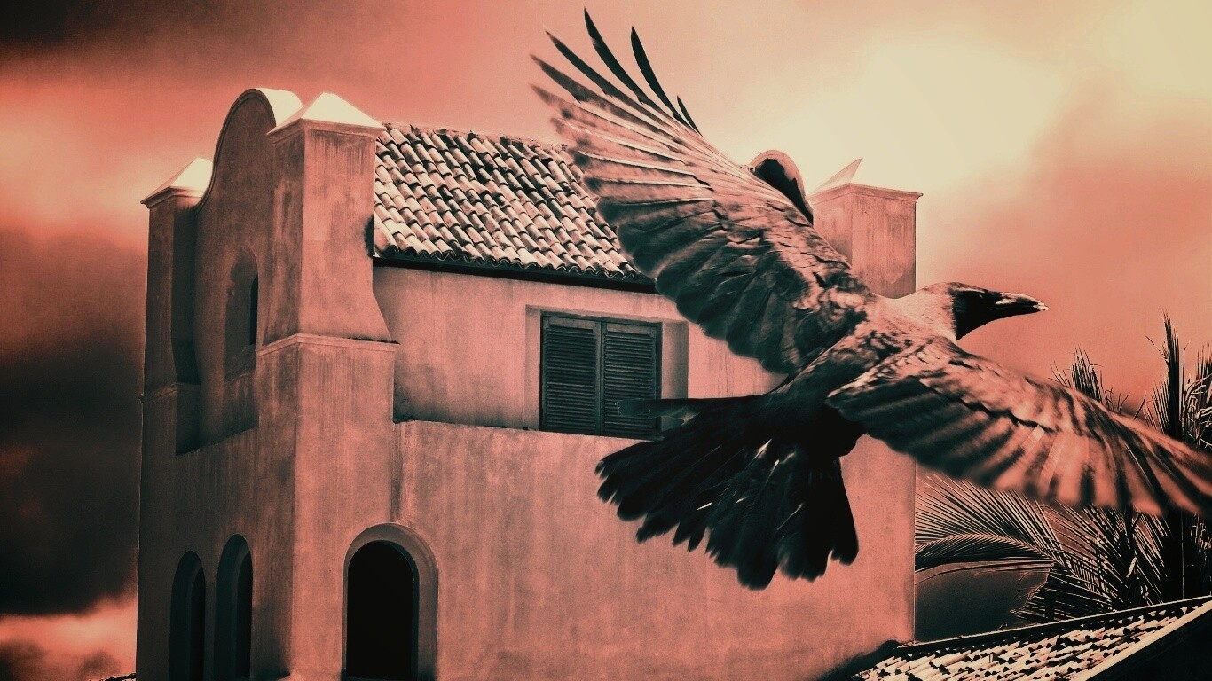 Полёт ворона обои