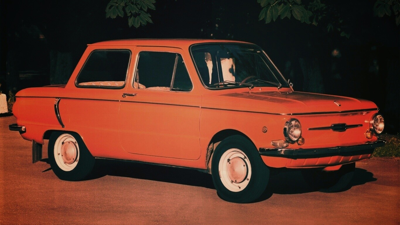 Оранжевый ушастый запорожец обои