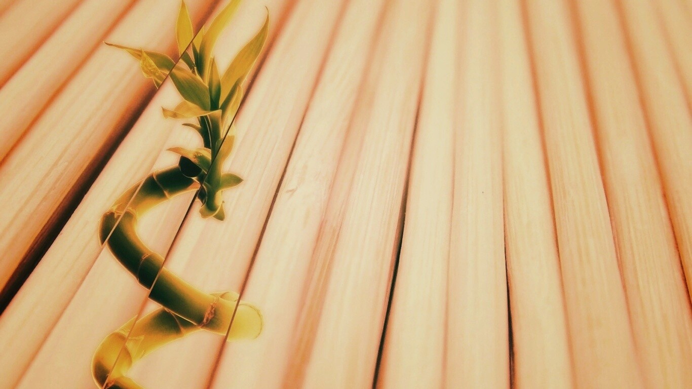 Белый росток обои