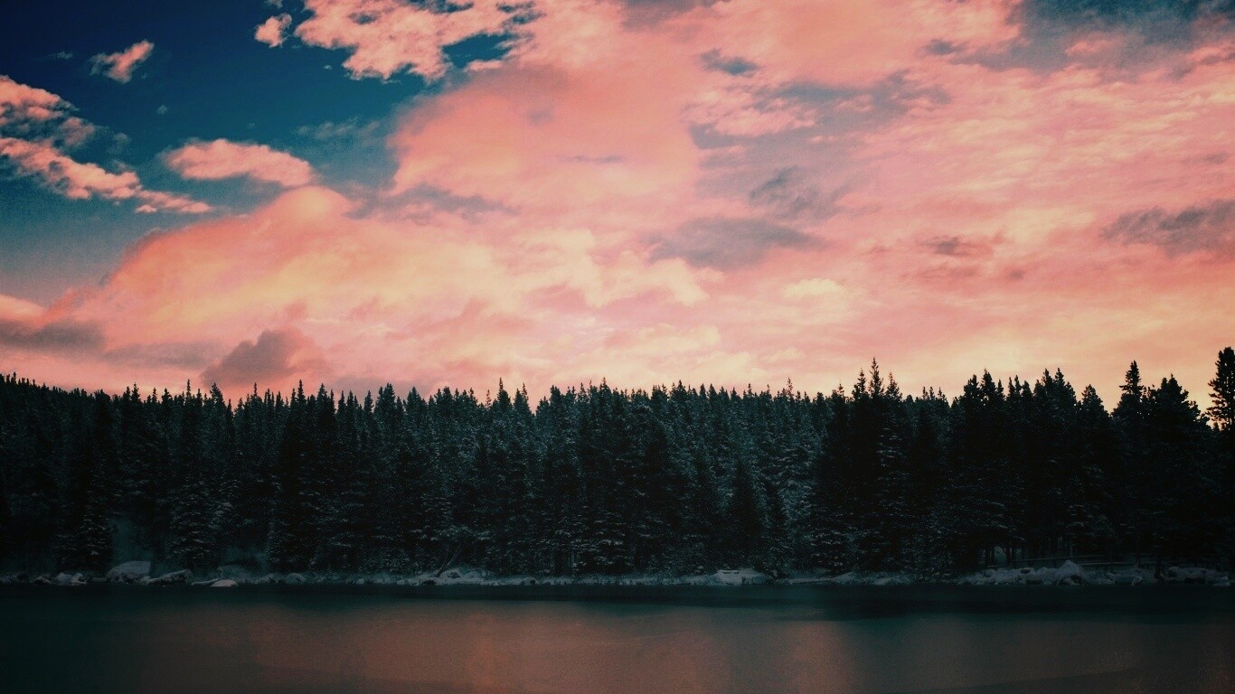 Лес на озере обои