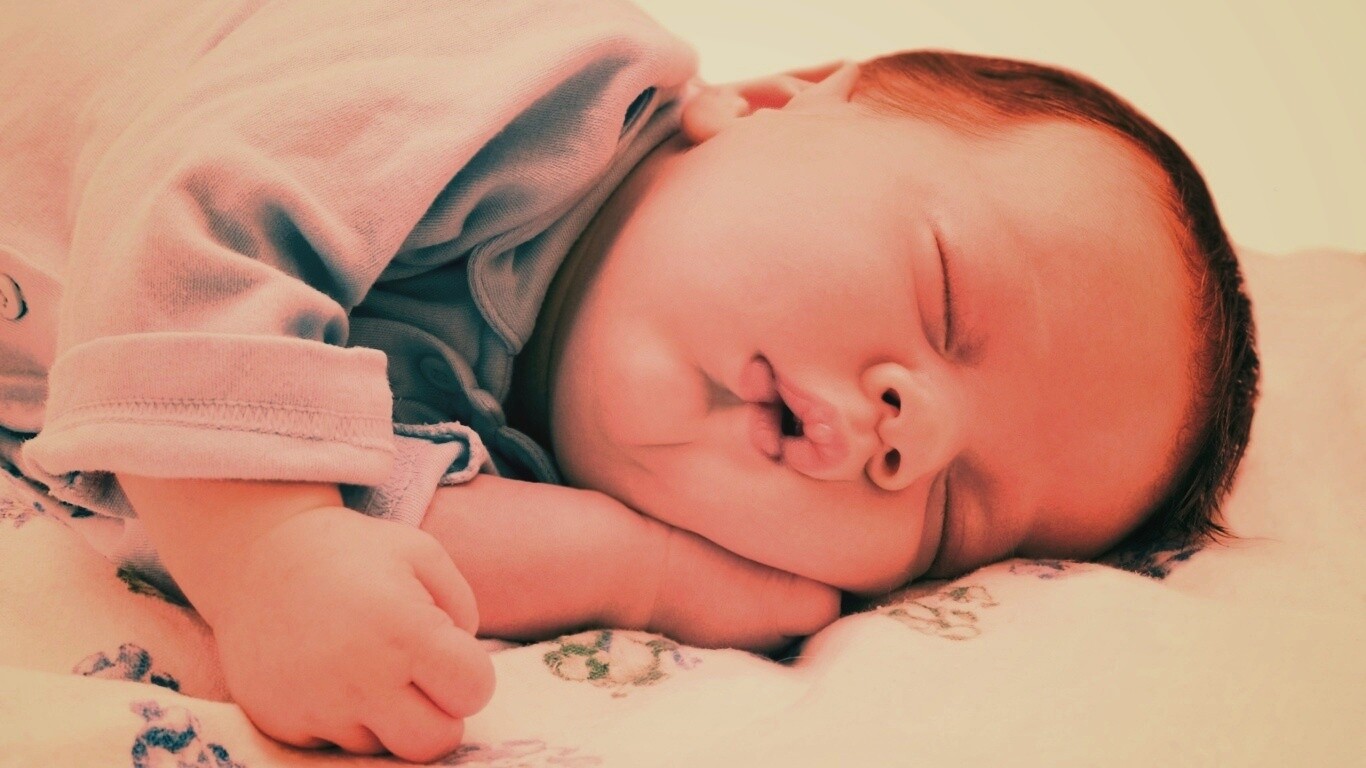 Спящая прелесть обои