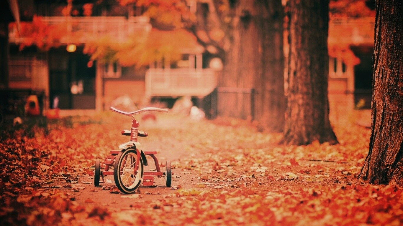 Трёхколёсный друг на осенней дорожке обои