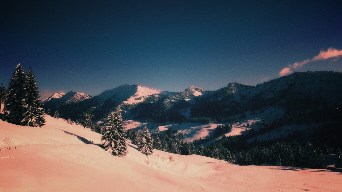 Лес в горах обои