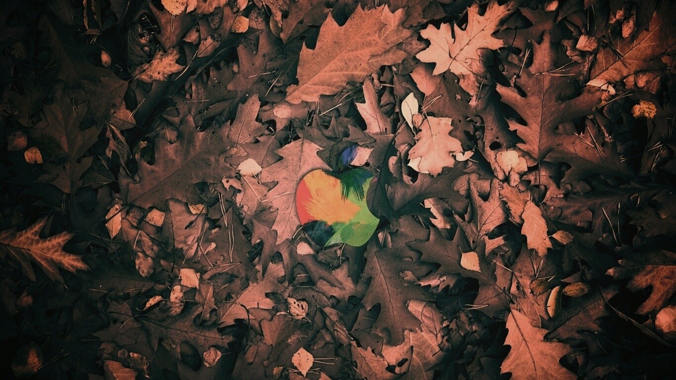 Яблоко в листьях обои