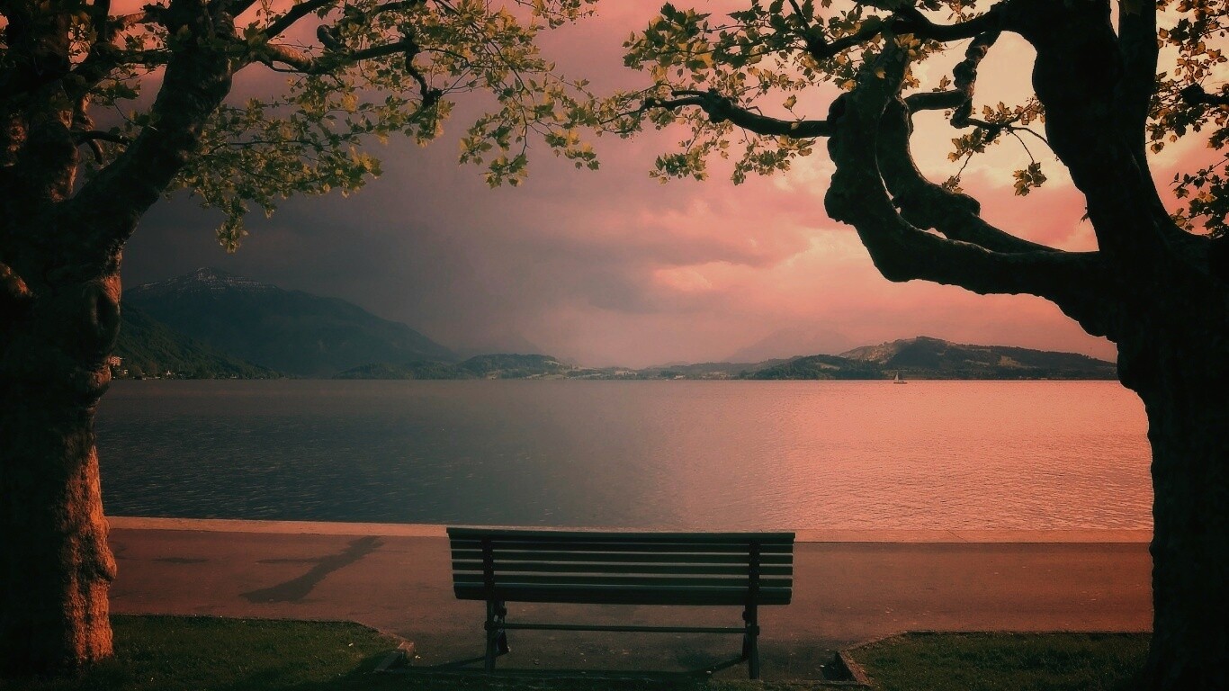 Скамейка на берегу обои