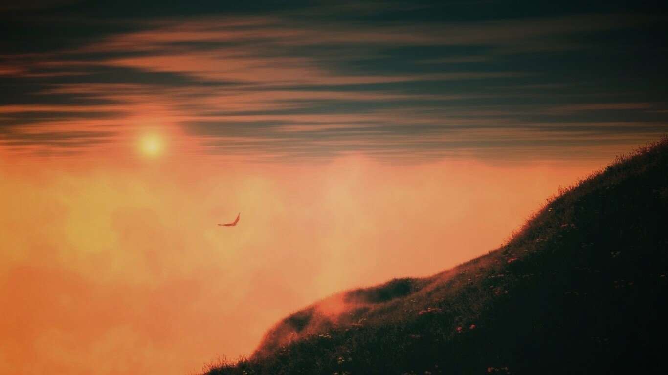 Птица парит над туманом обои