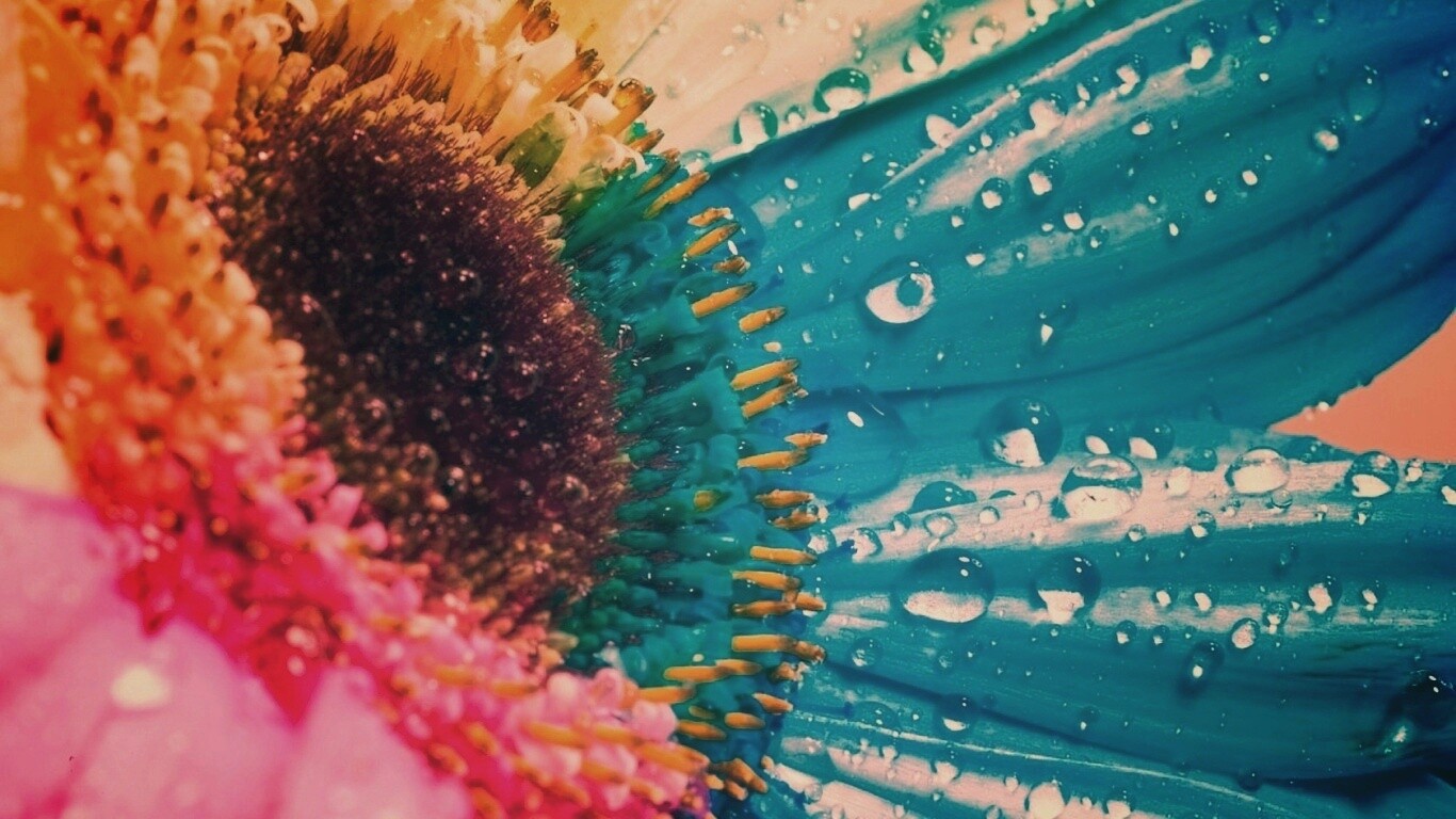 Цветик семицветик обои