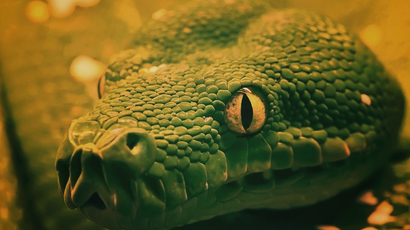 Страшно красивая обои