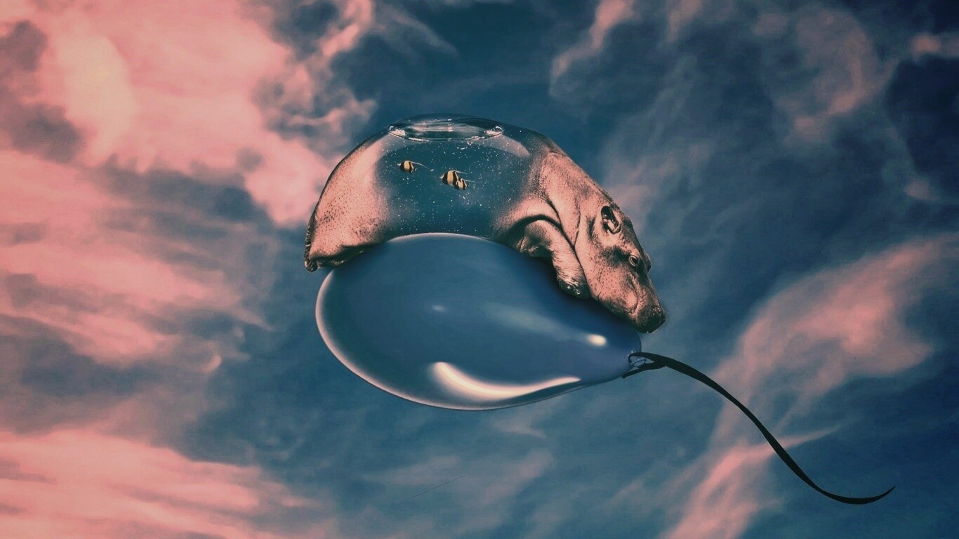 Водяной гиппопотам на шарике обои