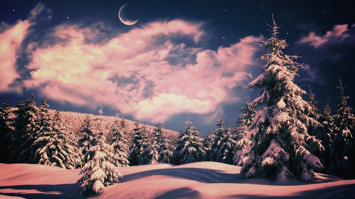 Зимний еловый лес обои