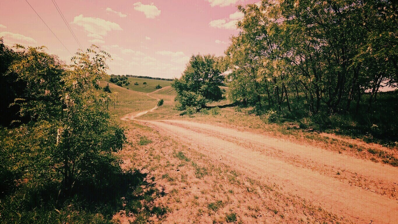 Просёлочная дорога обои