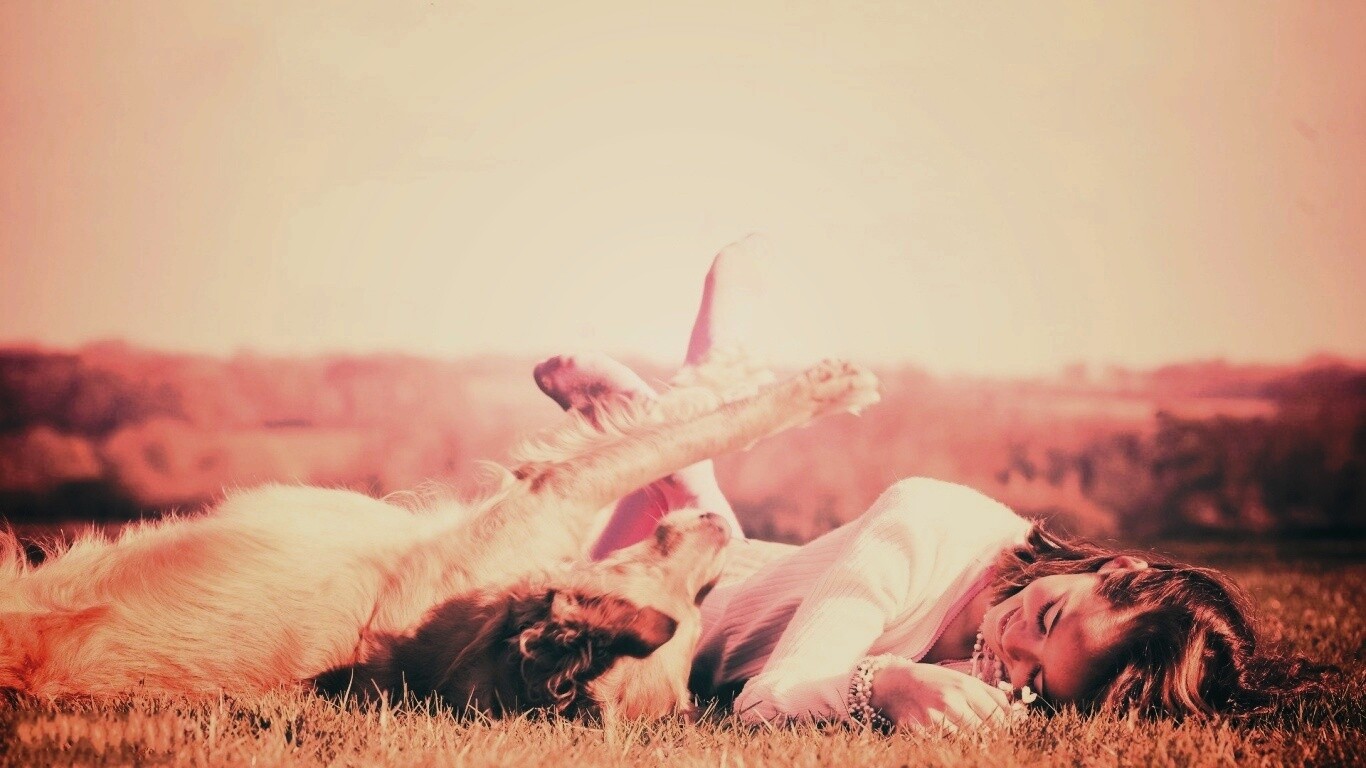 Девушка и собака валяются на траве обои