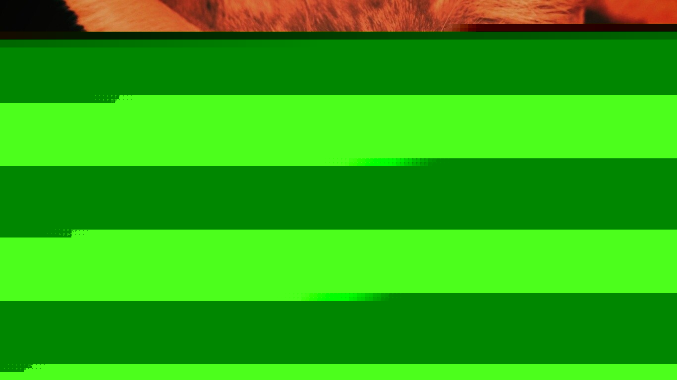 Рыжий котяра обои