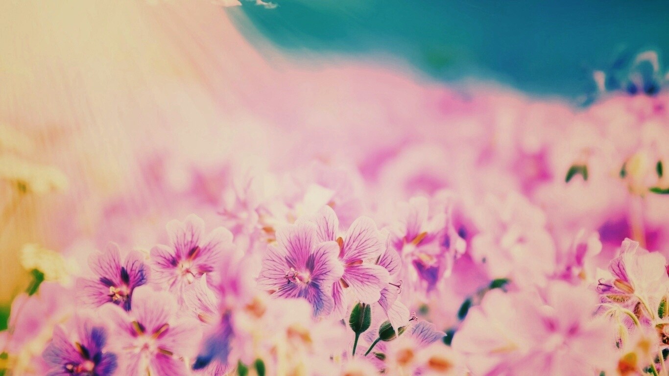 Цветочки обои