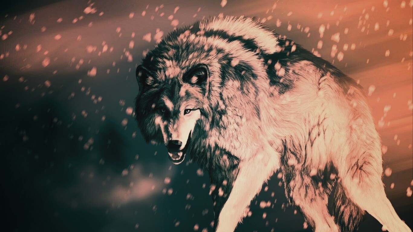 Охота на волка обои