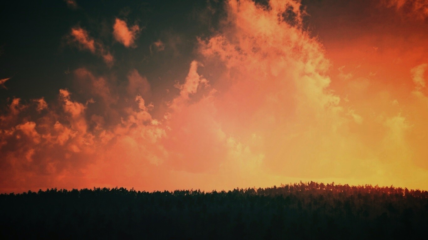 Закат над лесом обои