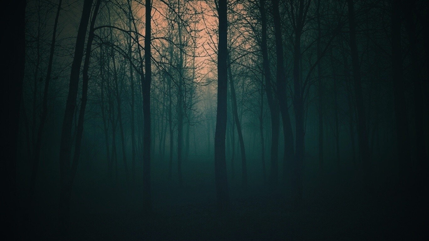 Страшный туманный лес обои