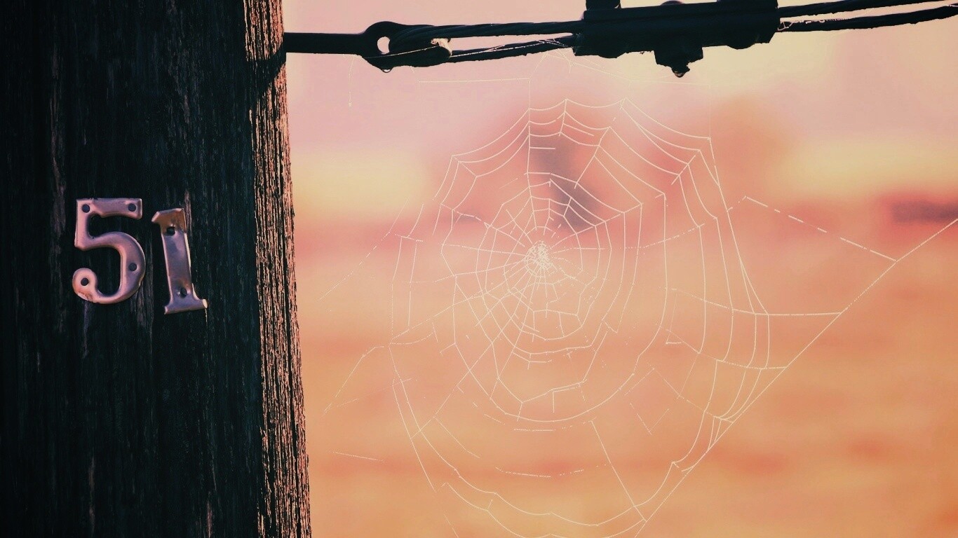 Паутина 51 обои