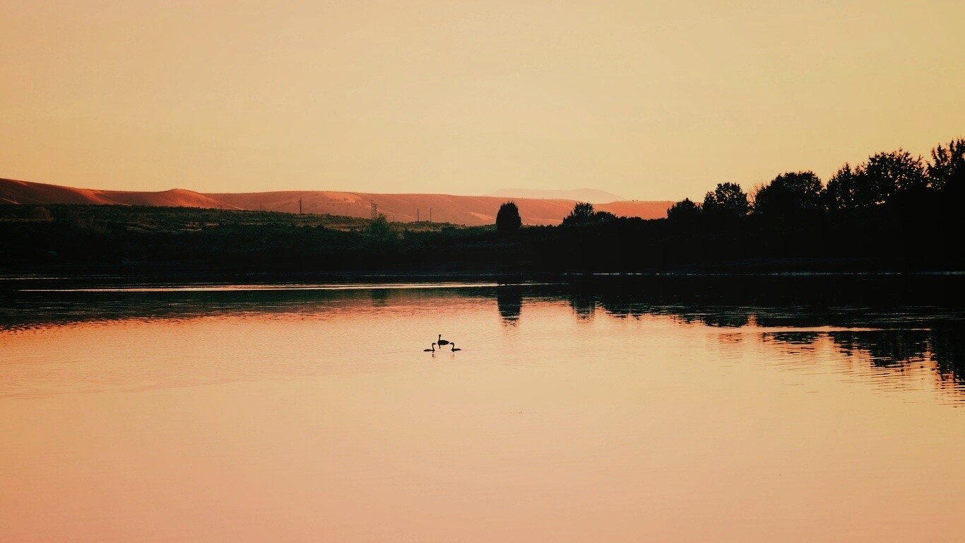 Утиное озеро обои