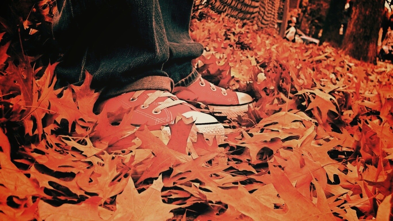 Оранжевые кеды обои