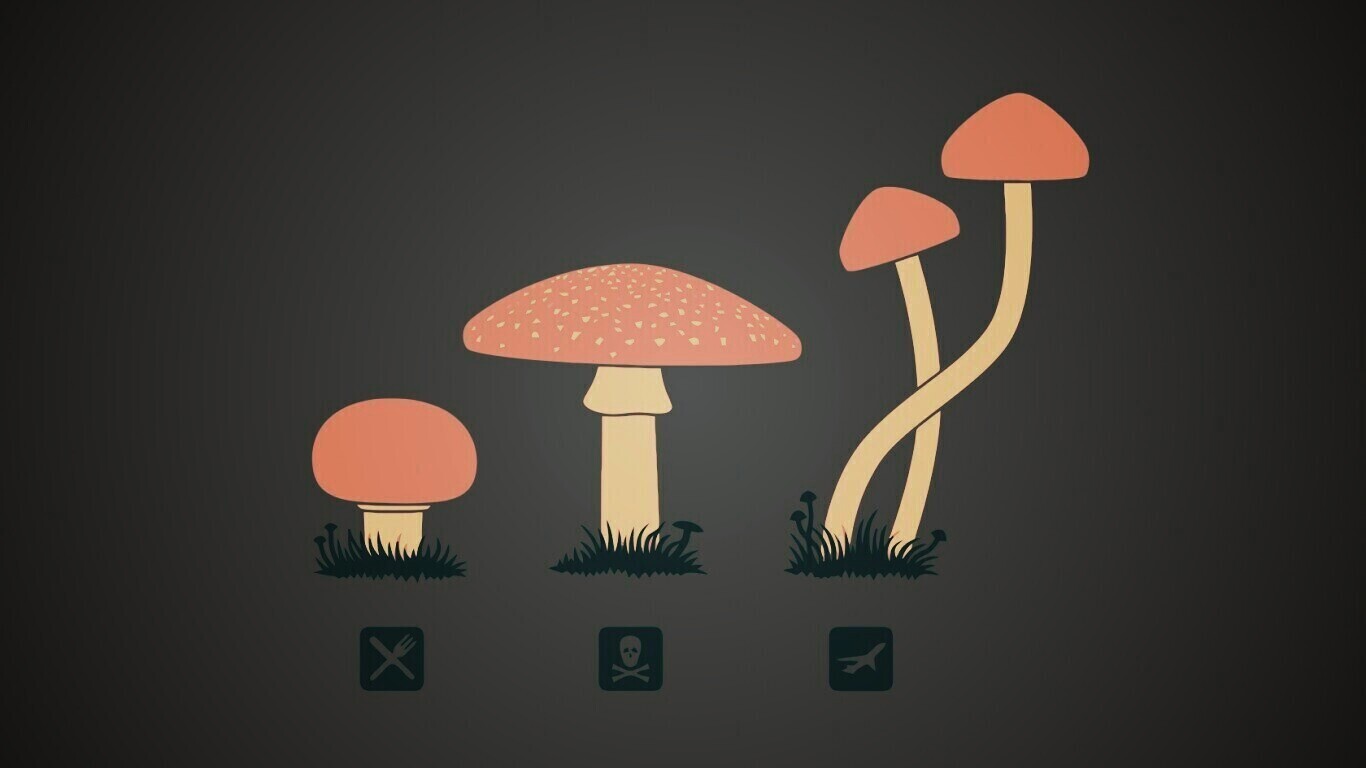 Грибочки обои