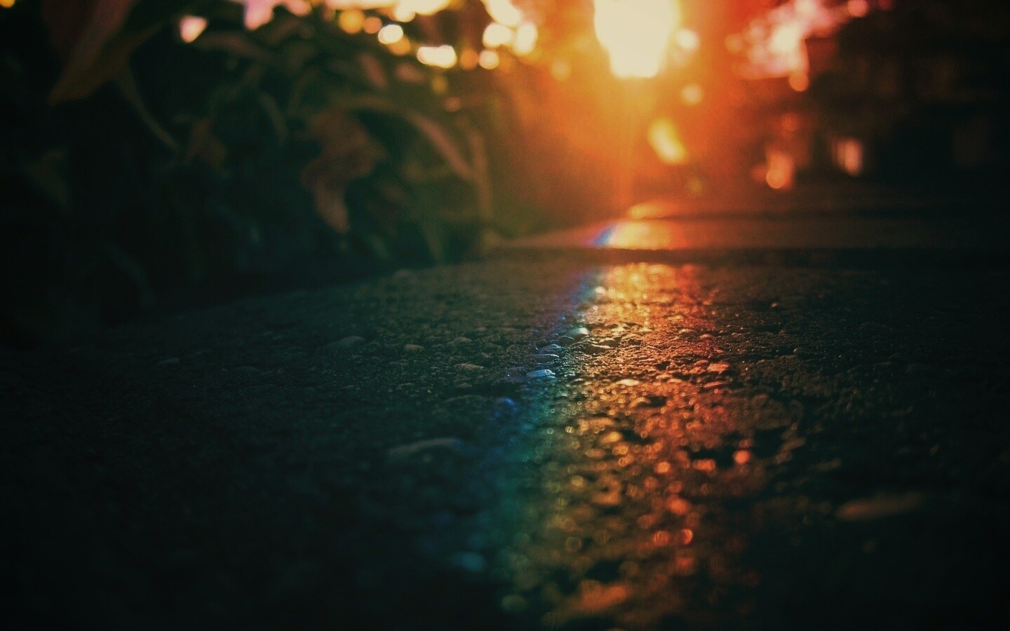 Макро радуга на камне обои