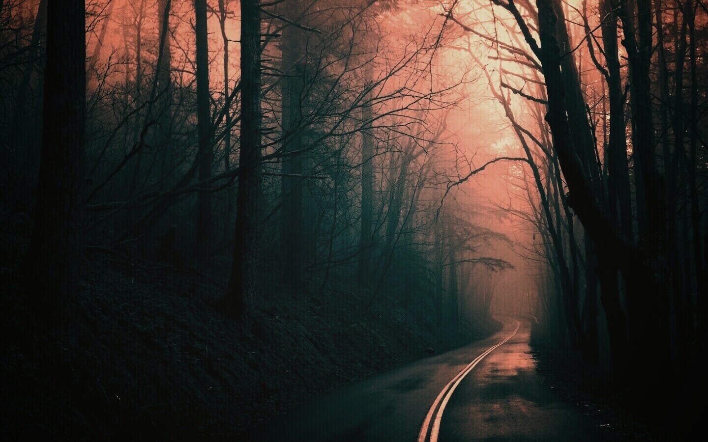 В туман обои