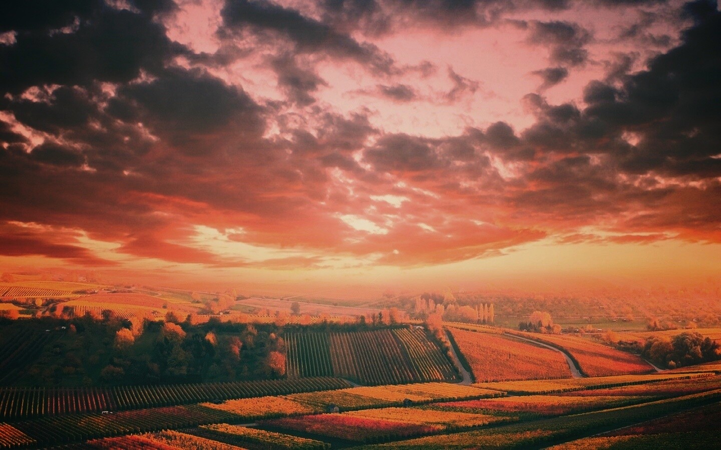 Обработанные земли в пригороде обои