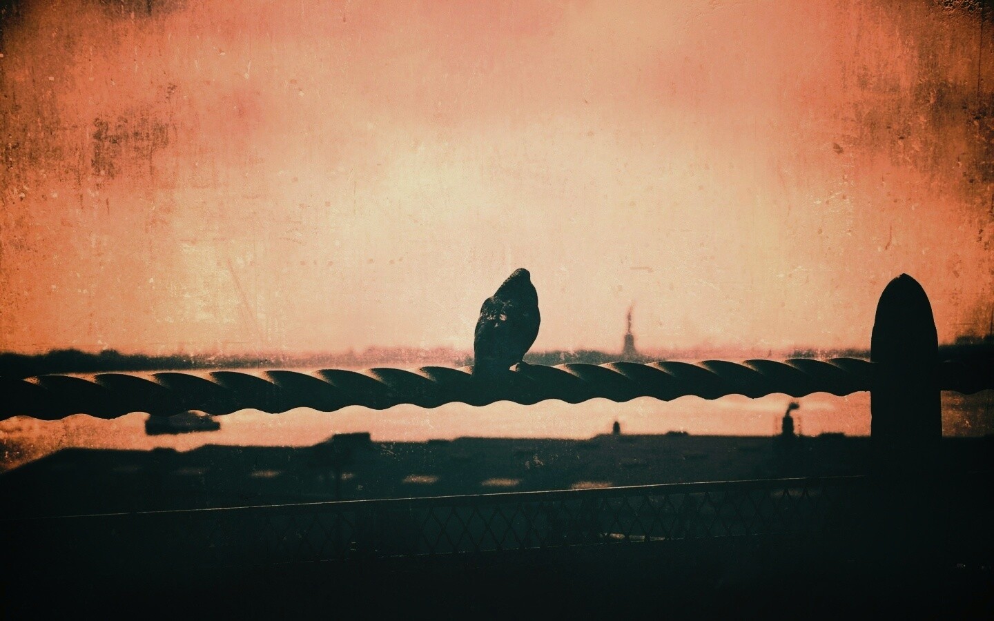 Голубь в Нью-Йоркских доках обои