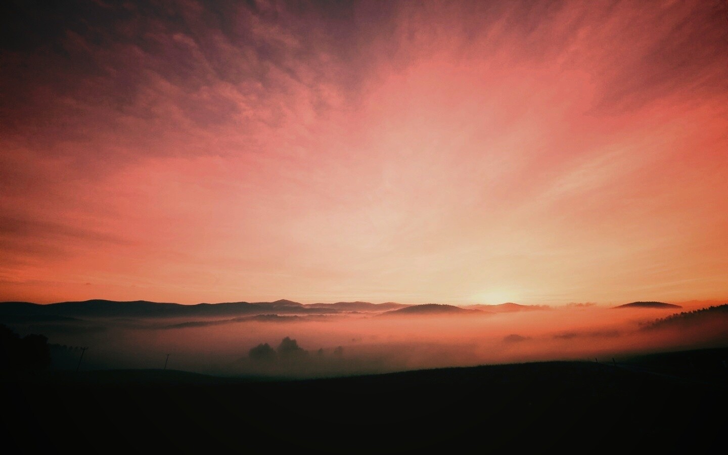 Утренний туман обои