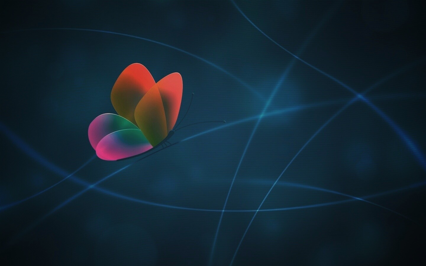 Бабочка с радужными крыльями обои