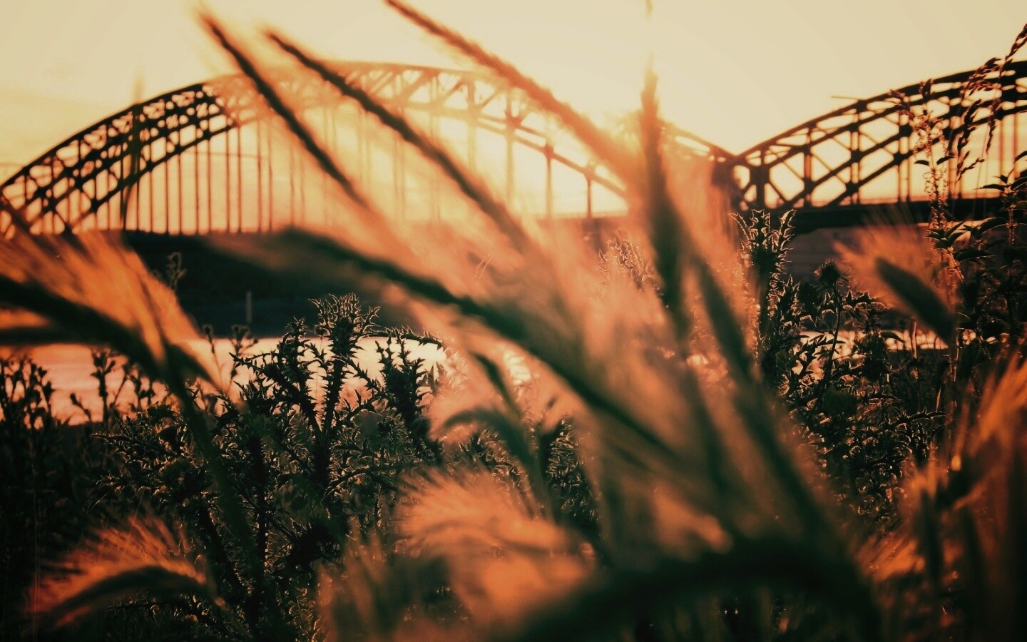 Железнодорожный мост обои