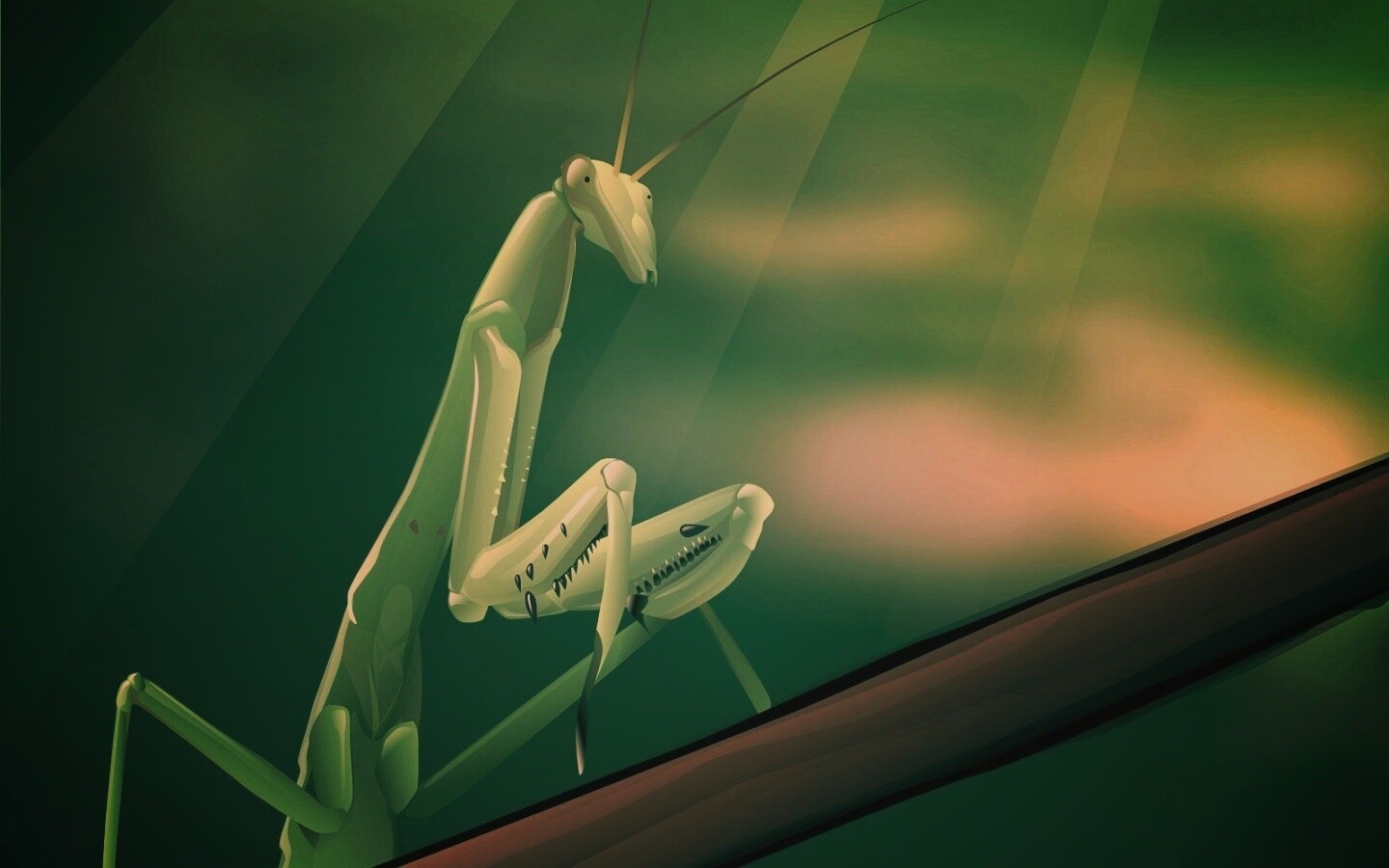 Рисунок богомола обои