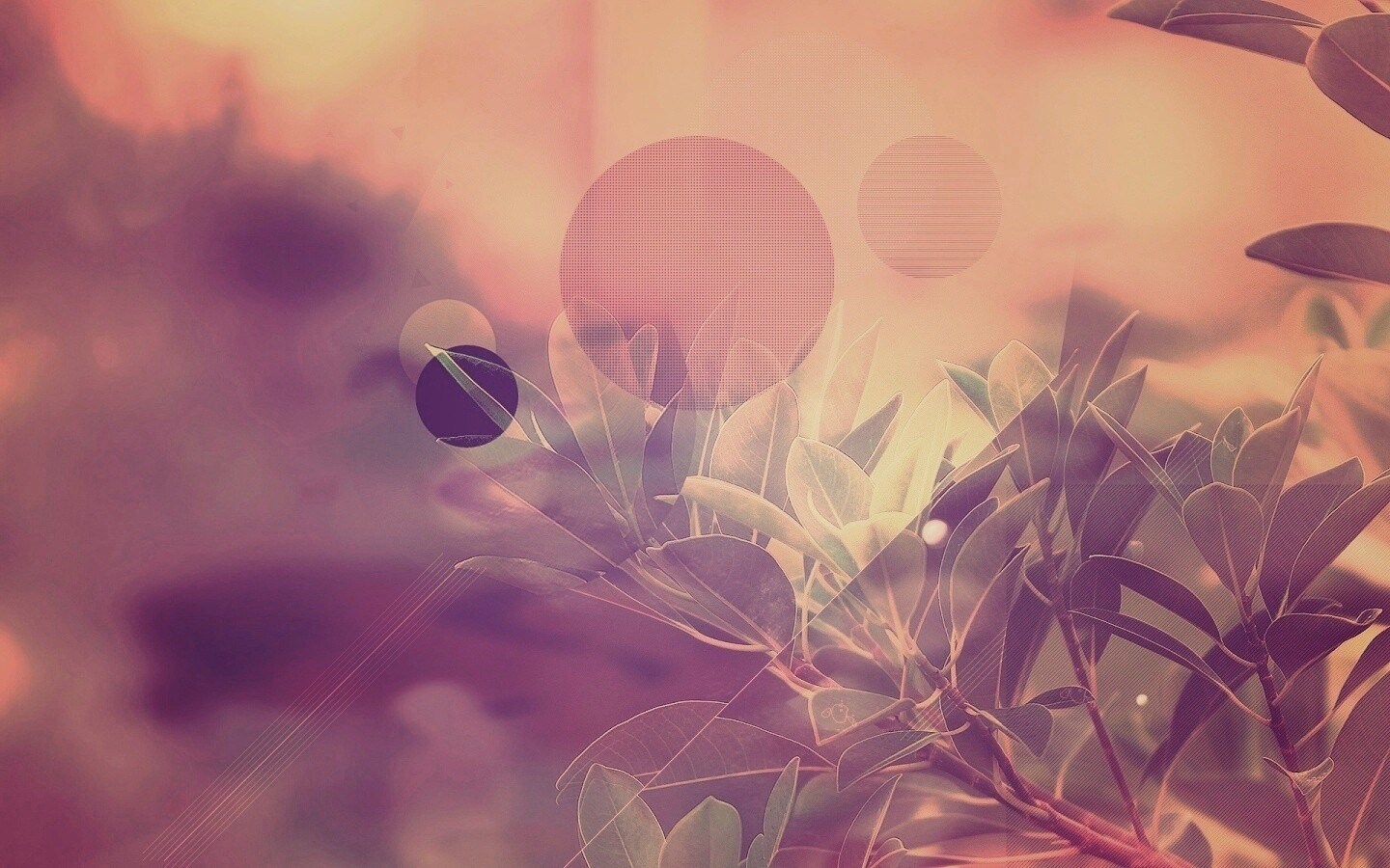 Синий фильтр с кргуами на фото листьев обои