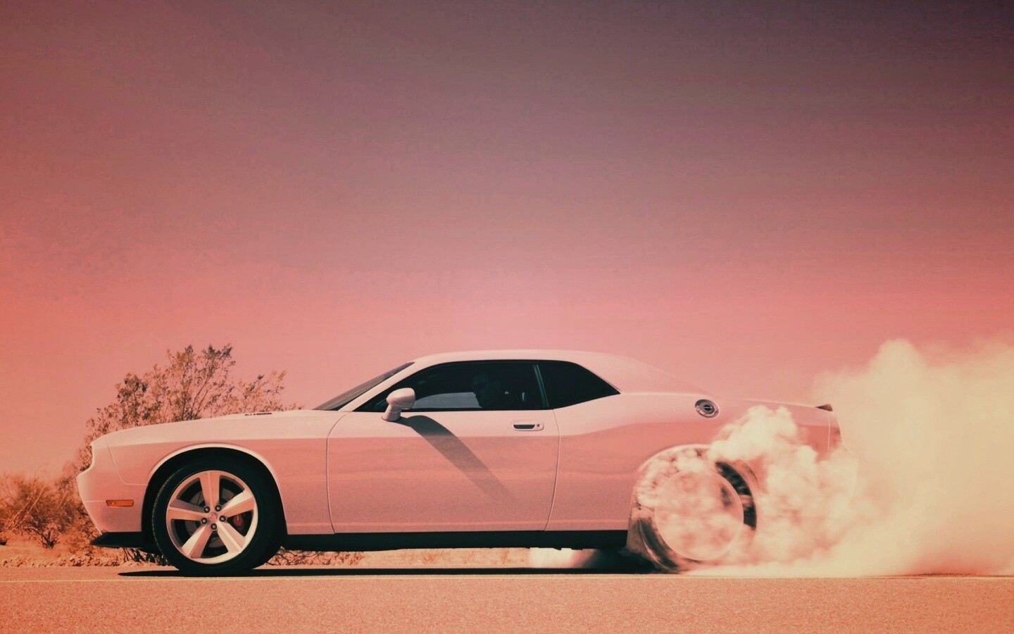 Стартующий Форд Мустанг обои