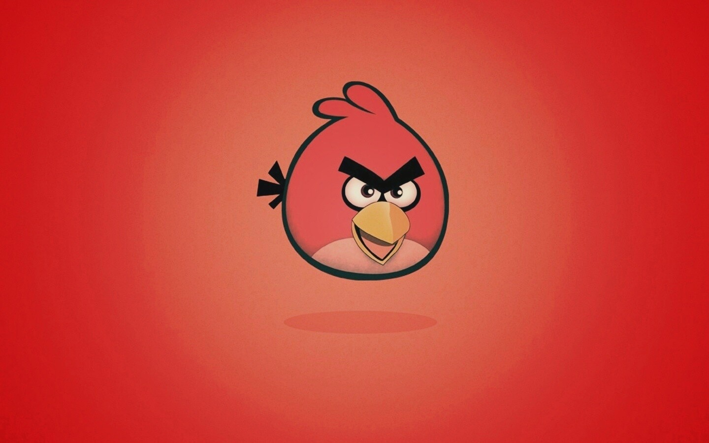 Красная птица из Angry Birds обои